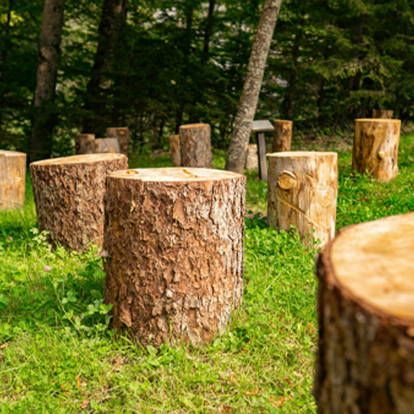 stump-removal-biggin-hill-kent-a