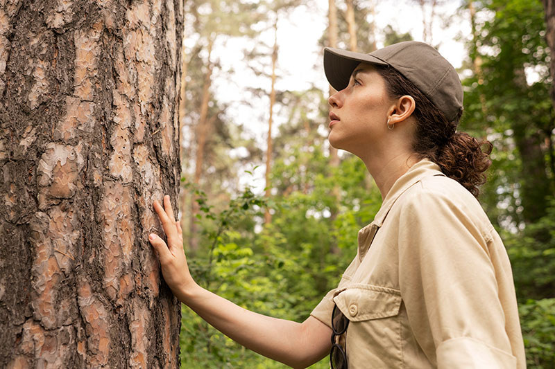 tree-inspect-img-a