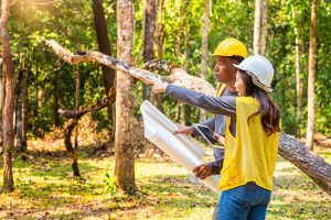 Tree Regulations and Permissions - Tree Thyme | Tree Surgeons | Felling ...