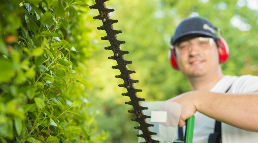 find-best-tree-surgeon-for-your-Croyrdon-Garden-img-f